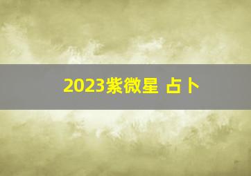 2023紫微星 占卜